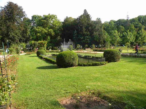  plan d'eau dans la roseraie de la Pépinière